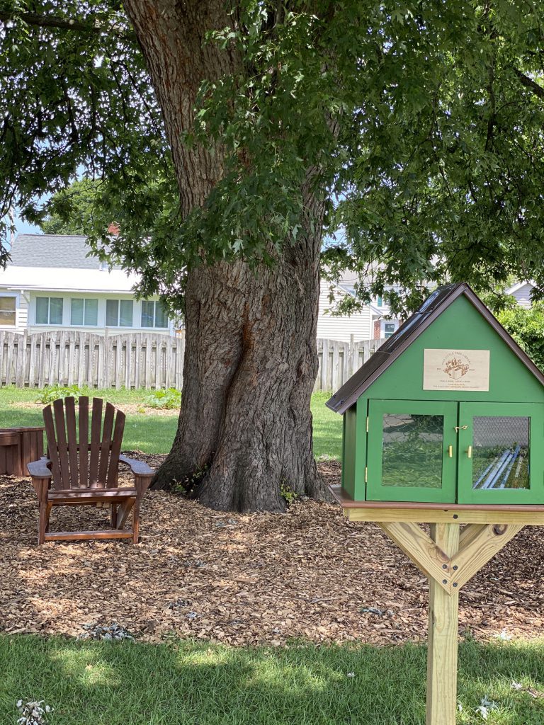 Little Free Library and scenery at Harmon Park