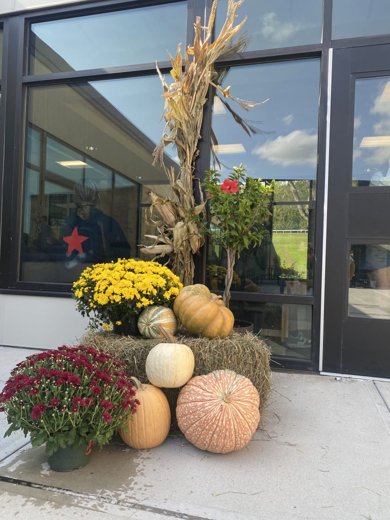 Fall display